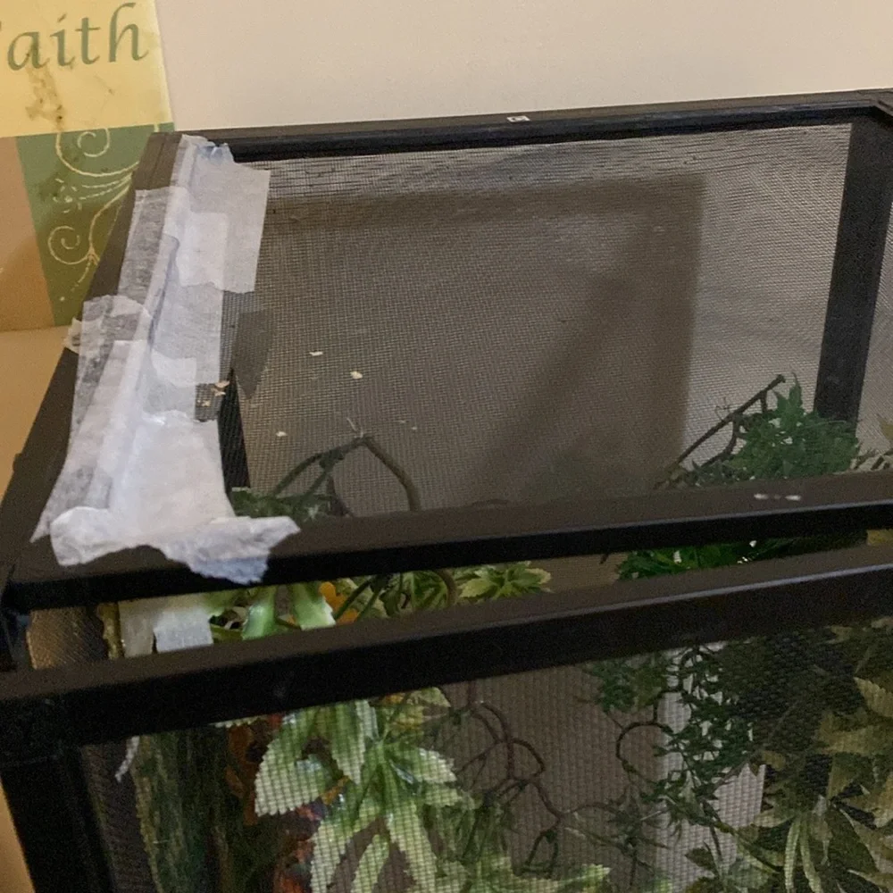 Reptile terrarium